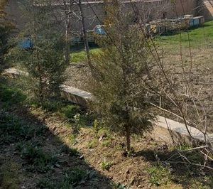 Фото 6 Участок в Юнусабадском районе