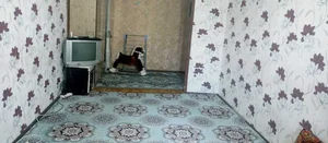 Фото 1 1-комн. квартира в Мирабадском районе