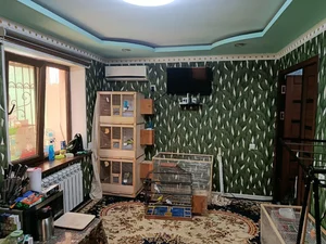 Фото 4 2-комн. квартира в Мирабадском районе