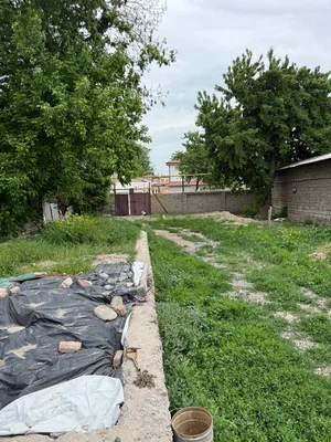 Фото 4 Участок в Мирзо-Улугбекском районе