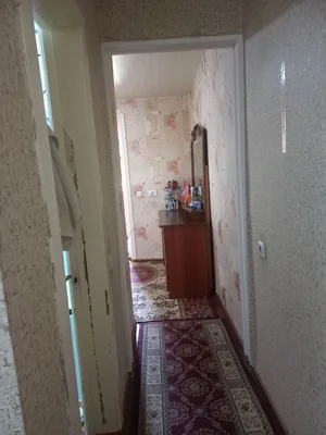 Фото 5 Квартира в кафе Диадора