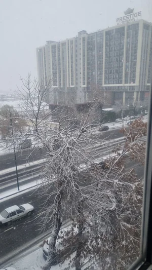 Фото 3 Квартира в Яккасарой