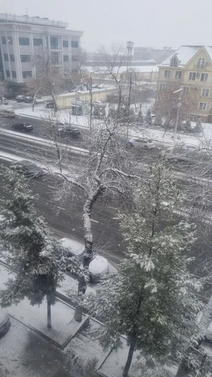 Фото 4 Квартира в Яккасарой