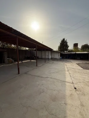 Фото 1 Дом в Паркентском районе