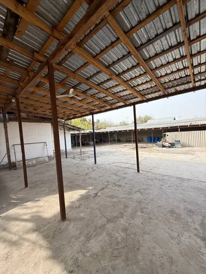 Фото 3 Дом в Паркентском районе