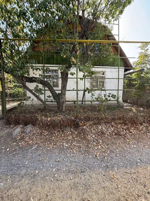 Фото 1 3-комн. дом в Паркент