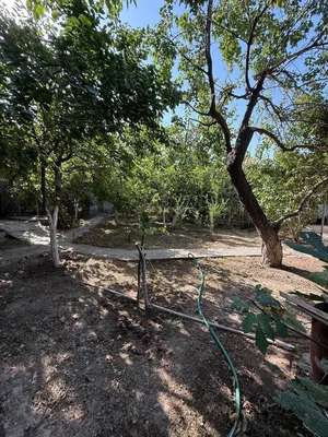 Фото 4 3-комн. дом в Паркент