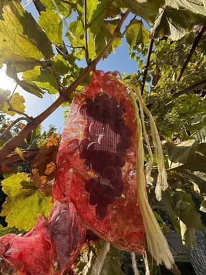 Фото 7 3-комн. дом в Паркент