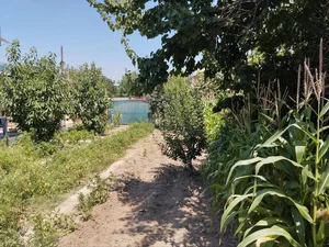 Фото 3 Дача в Паркенском районе