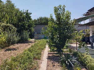 Фото 5 Дача в Паркенском районе