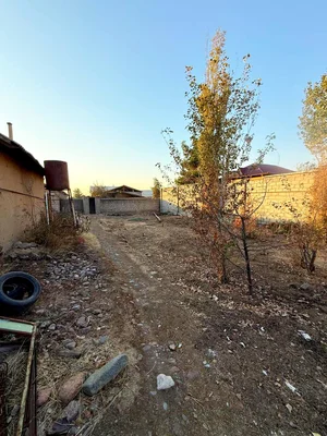 Фото 3 Дача в Паркенте