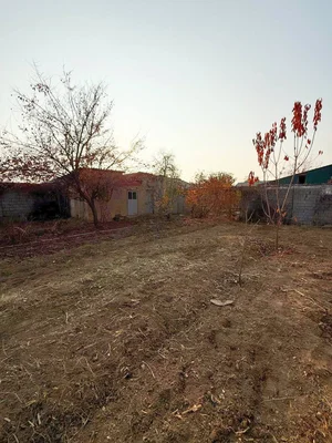 Фото 2 Дача в Паркентском районе