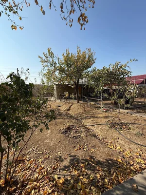 Фото 3 Дача в Уртасарае