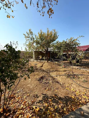 Фото 6 Дача в Уртасарае