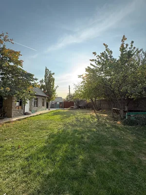 Фото 1 Участок в Янги