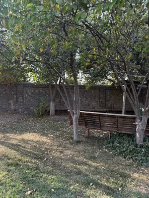 Фото 2 Участок в Янги