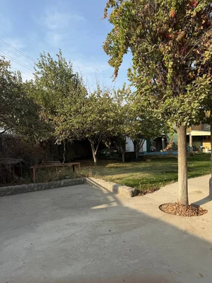 Фото 4 Участок в Янги