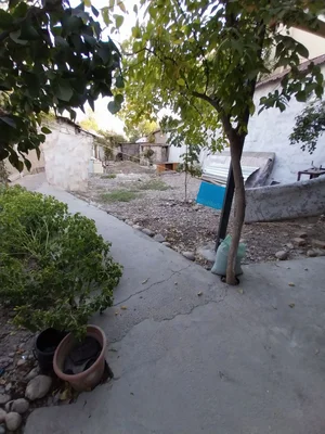 Фото 3 Дом в Миробадском районе