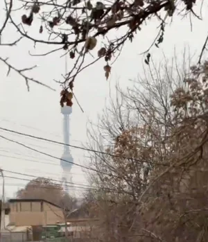 Фото 5 Участок в Юнусабадском районе