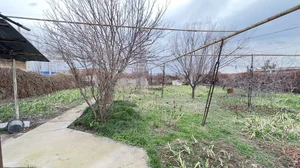 Фото 1 Участок в Мирзо-Улугбекском районе