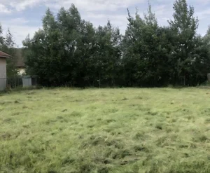 Фото 1 Участок в Санииф