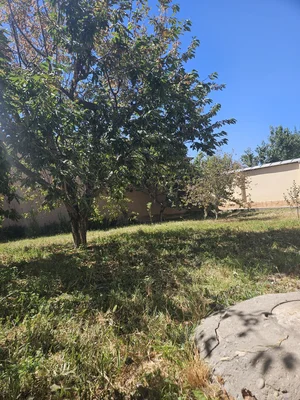 Фото 3 Участок в Қибрай тумани