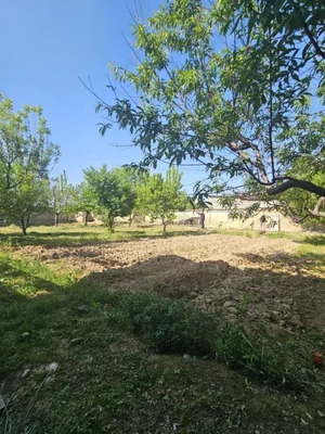 Фото 1 Участок в Қибрай тумани