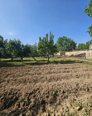 Фото 2 Участок в Қибрай тумани