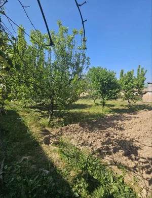 Фото 3 Участок в Қибрай тумани