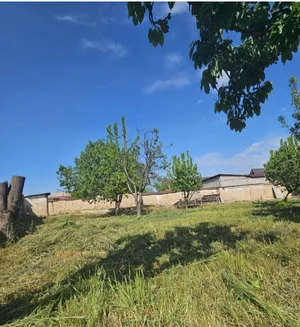 Фото 4 Участок в Қибрай тумани