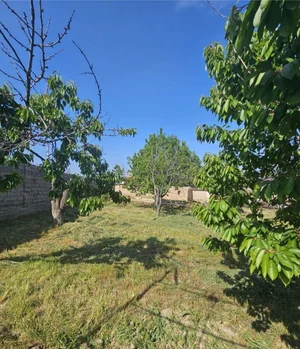 Фото 5 Участок в Қибрай тумани