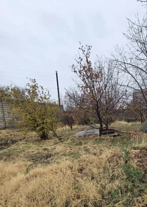 Фото 1 Земельный участок в центре Кибрая