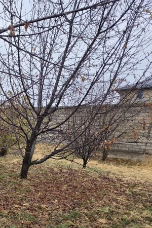 Фото 4 Земельный участок в центре Кибрая