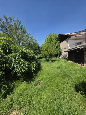 Фото 3 Участок в Қибрай тумани