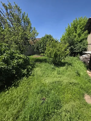 Фото 4 Участок в Қибрай тумани