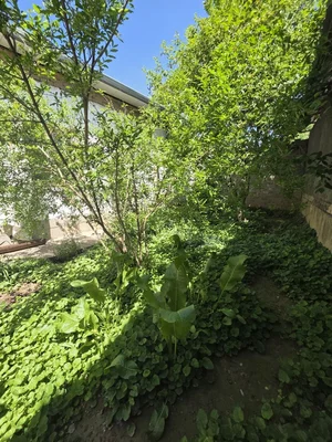 Фото 7 Участок в Қибрай тумани