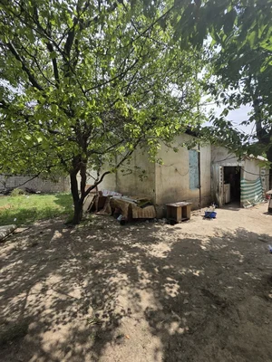 Фото 6 Участок в Қибрай туман