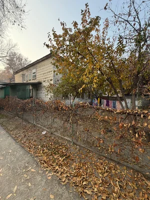 Фото 5 3-комн. квартира в Спутник-3