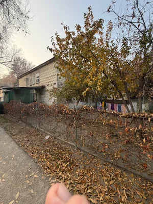 Фото 8 3-комн. квартира в Спутник-3