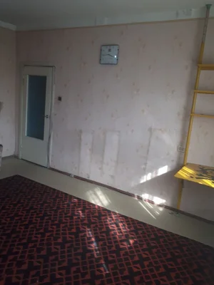 Фото 4 1-комн. квартира в Воднике