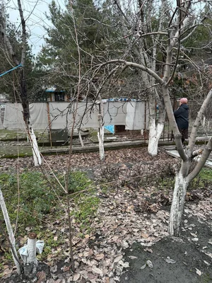 Фото 8 Дом в Спутник