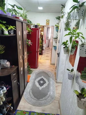 Фото 1 1-комн. квартира в Сергели-2