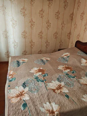 Фото 7 3-комн. квартира в Спутник-1