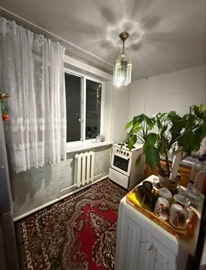 Фото 4 1-комн. квартира в Спутник-1