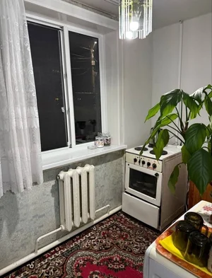 Фото 6 1-комн. квартира в Спутник-1