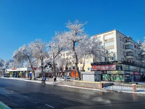 Фото 10 Квартира в Шота Руставели