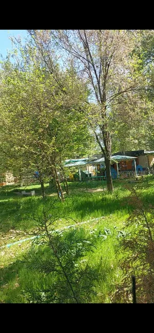 Фото 3 Участок в Мирзо-Улугбекском районе