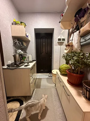 Фото 5 1-комн. квартира в Корзинка