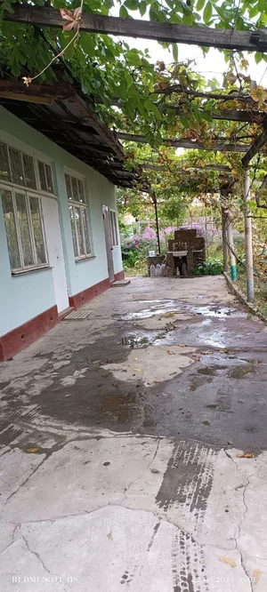 Фото 1 Дом в Паркентском районе