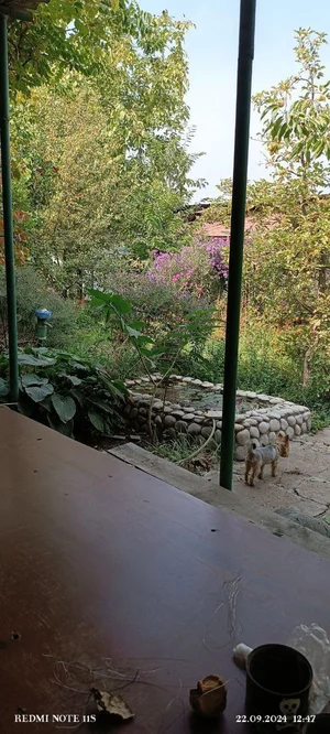 Фото 2 Дом в Паркентском районе